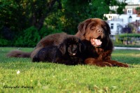 /album/fotogalerij1/mariel-23-jpg/